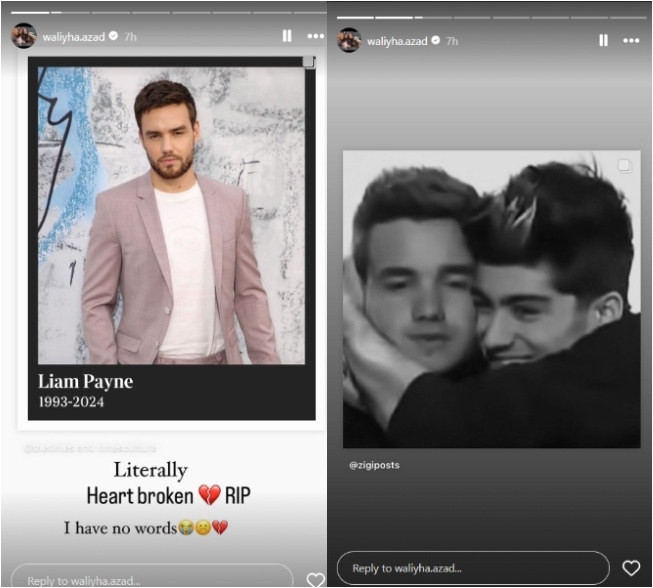 Zayn Malik dan Liam Payne (Instagram)