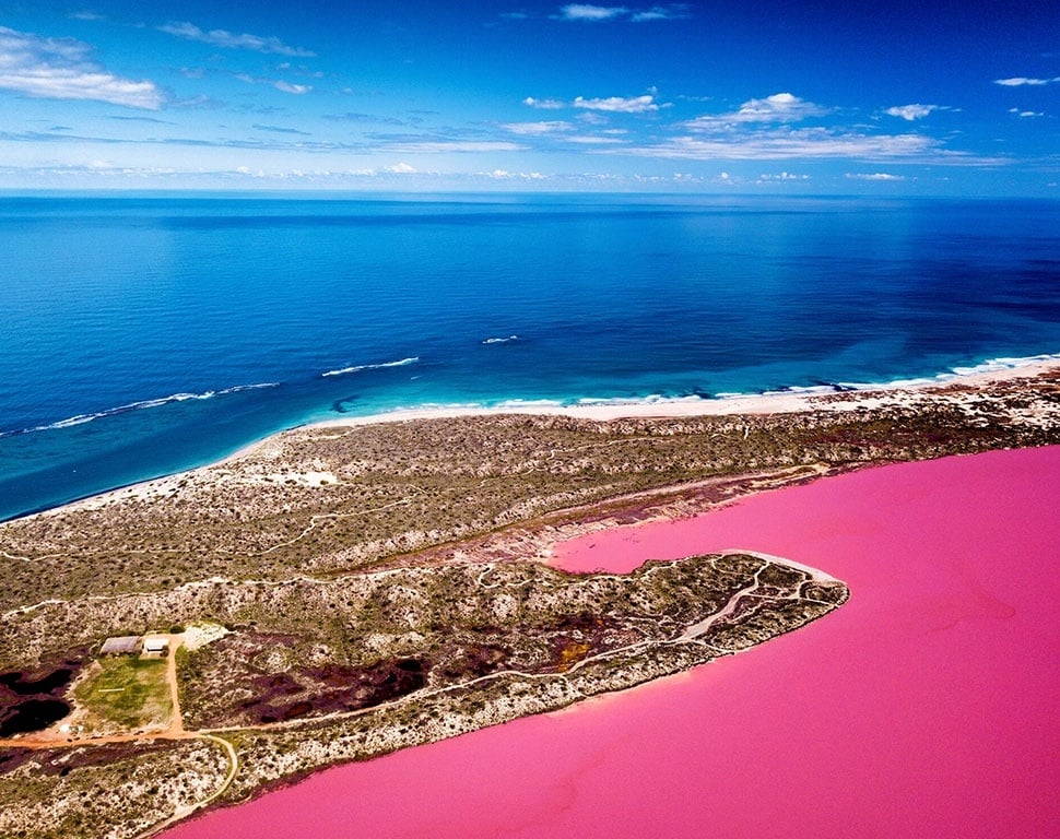 Pink Lake di Australia Barat. (dok. Tourism Western Australia)