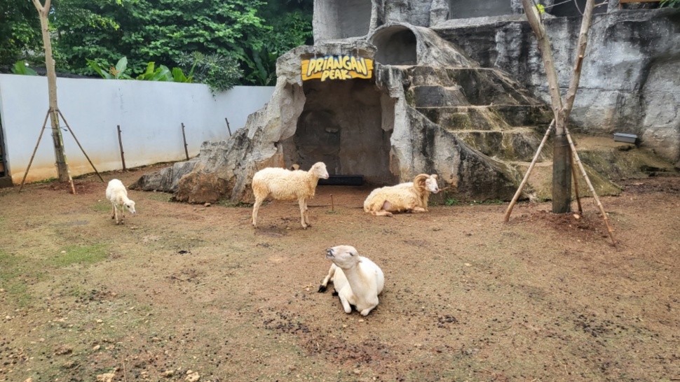 Grand Opening Aviary Park Indonesia di Bintaro, Tangerang Selatan (Suara.com/Dinda)