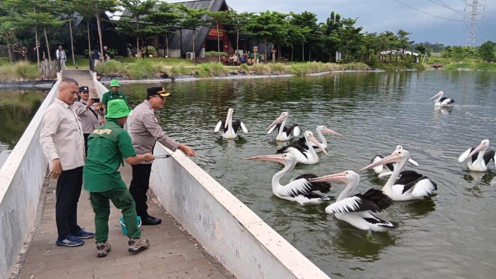 Grand Opening Aviary Park Indonesia di Bintaro, Tangerang Selatan (Dok. Aviary Park Indonesia)