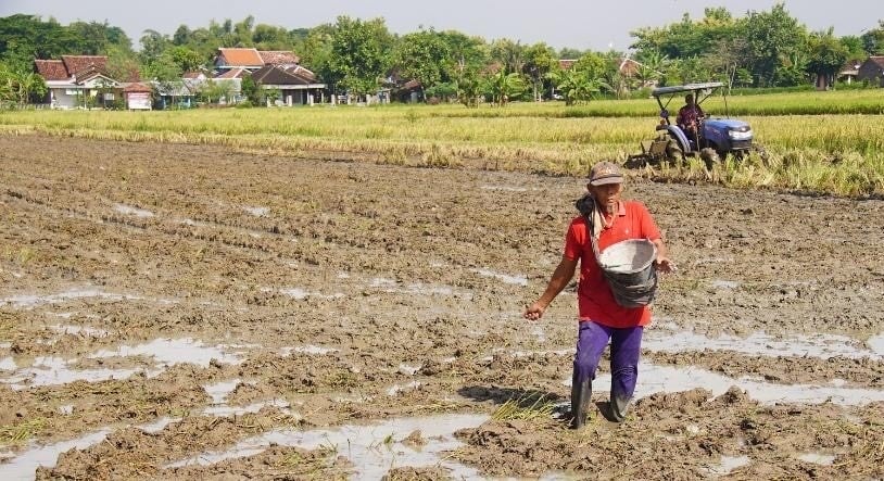 Ilustrasi petani. (Dok: Kementan)