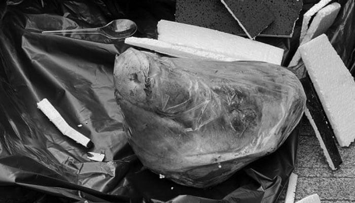 Kantor Tempo dikirimi kepala babi yang ditujukan kepada salah satu host Bocor Alus Politik. [dok Tempo]