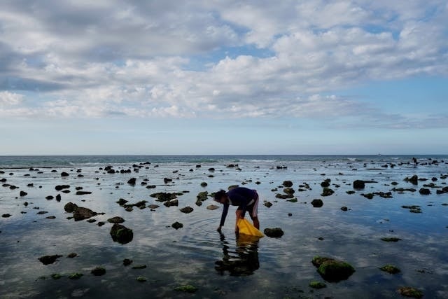 Karbon biru di Asia Tenggara (Photo by Smaart/Pexels)
