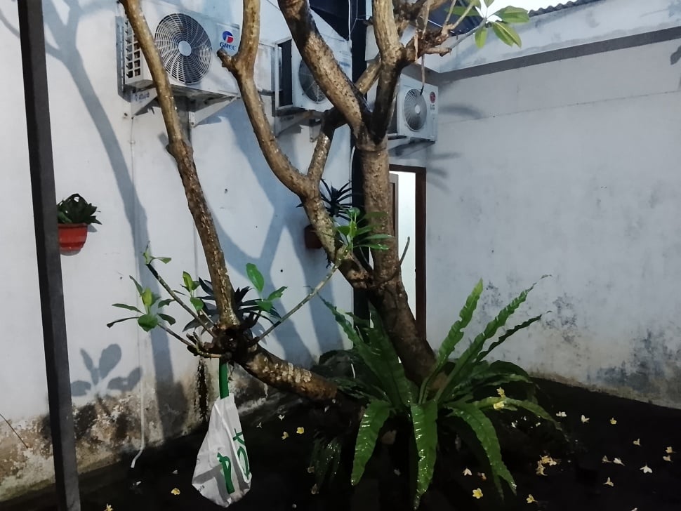 Hasil kamera POCO C71. (ist)