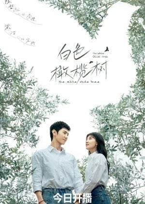 The White Olive Tree (mydramalist)