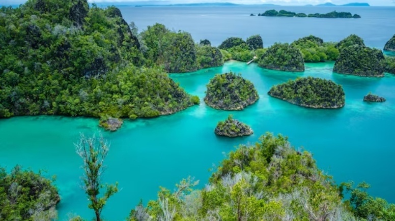 Ilustrasi Raja Ampat. (Ist)