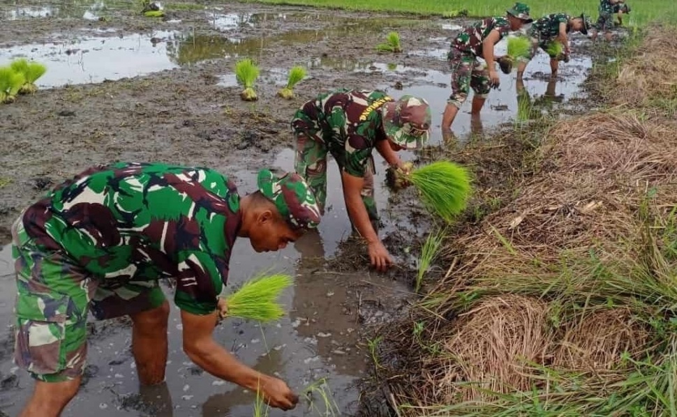 Kekuatan Perang atau Tim Pembangunan? Polemik Tentara Garap Ketahanan Pangan Saat Dunia Memanas