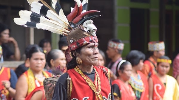 Ilustrasi masyarakat adat Suku Dayak (pexels.com/Andar Motret)