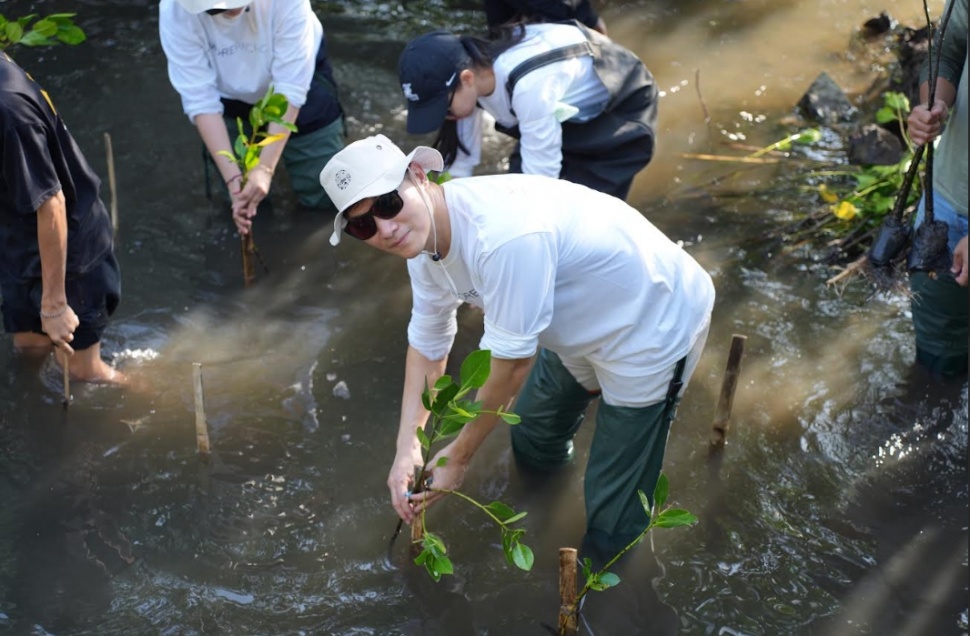 Penanaman Mangrove di Lombok. (Dok. Istimewa)