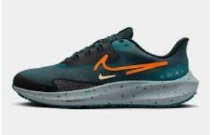 Nike Air Zoom Pegasus