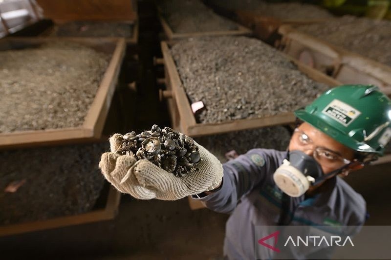 Ilustrasi Nikel. Foto Antara.
