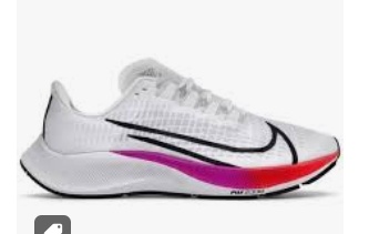 Nike Air Zoom Pegasus