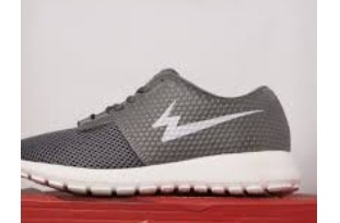 Eagle Sky Runner