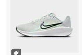 Nike Downshifter 13