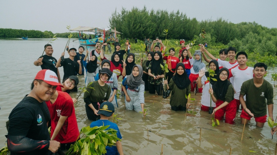 Menanam Mangrove. (Dok. Istimewa)