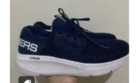 Puma Incinerate