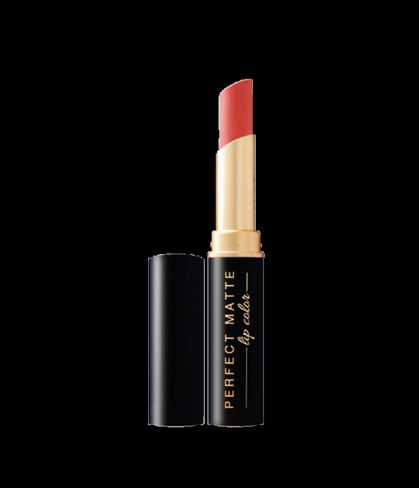 Viva Queen Perfect Matte Lip Color