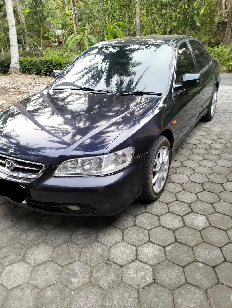 Honda Accord (2003). (OLX)