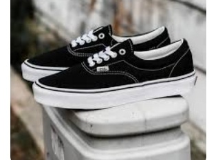 Vans Era