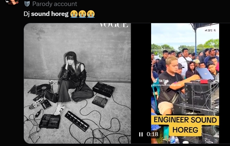 Kumpulan meme Edi Sound Horeg. (X)