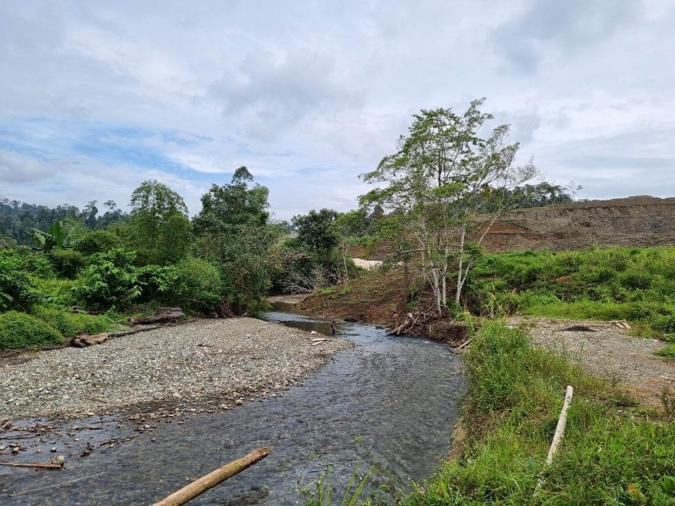 Lansekap hutan Morowali yang belum terjamah kegiatan industri. (Dok. AEER/2025)