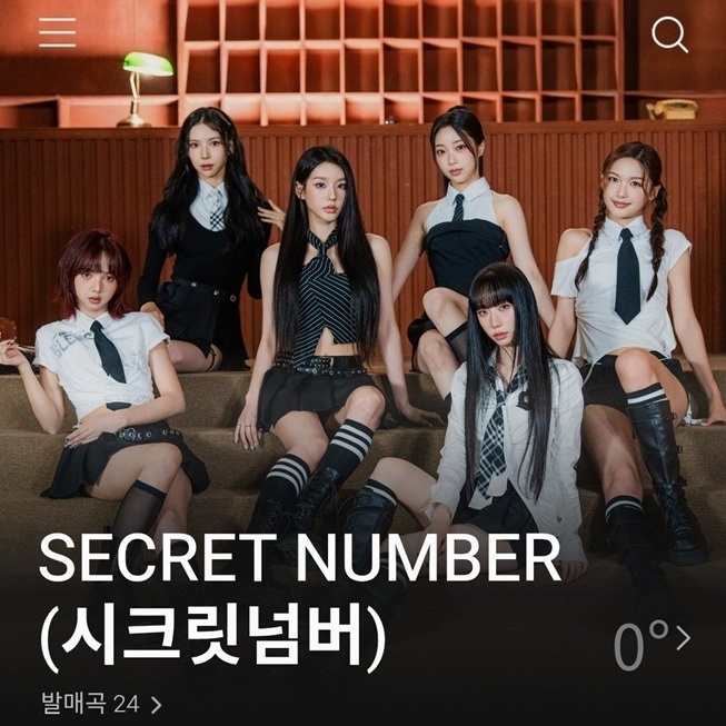 Secret Number (X)