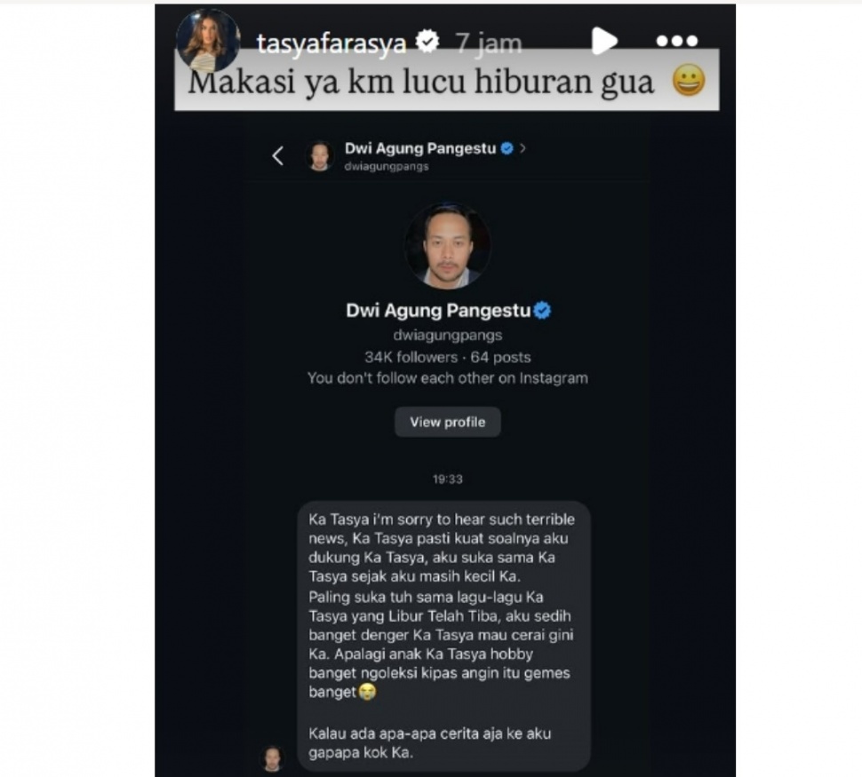 DM seorang cowok mampu menghibur Tasya Farasya yang tengah galau karena percariaan. [Instagram]
