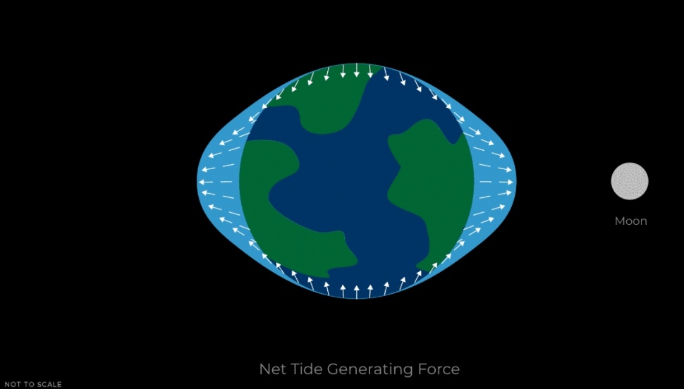 Ilustrasi daya tarik Bulan mempengaruhi pasang surut di Bumi. (NASA)