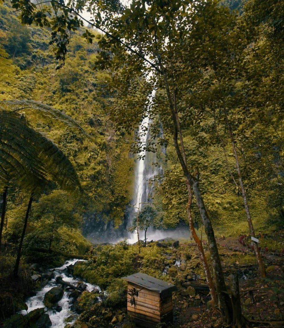 Air Terjun Tancak berlokasi 16 km dari Kota Jember (Dok: Diskominfo Pemkab Jember)