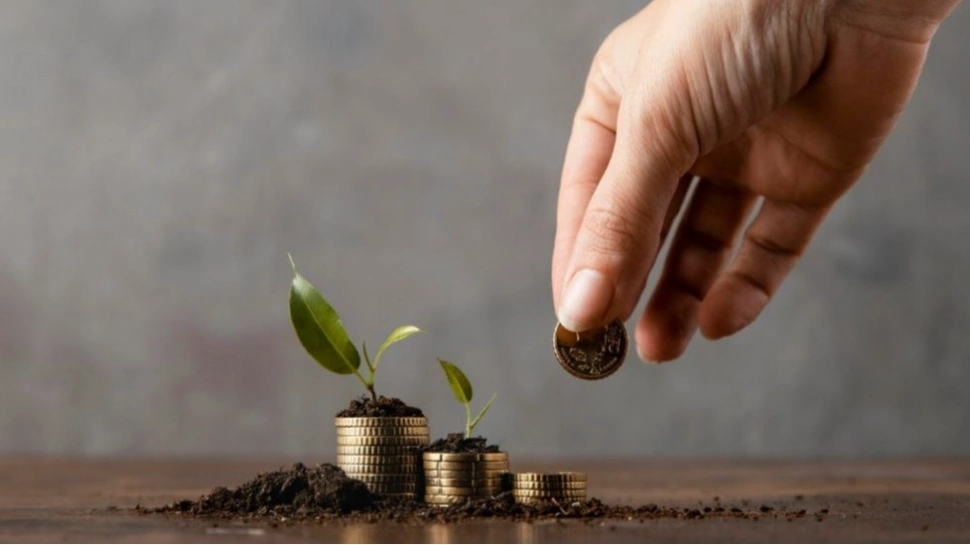 8 Tips Investasi Reksadana Pemula yang Aman dan Profit