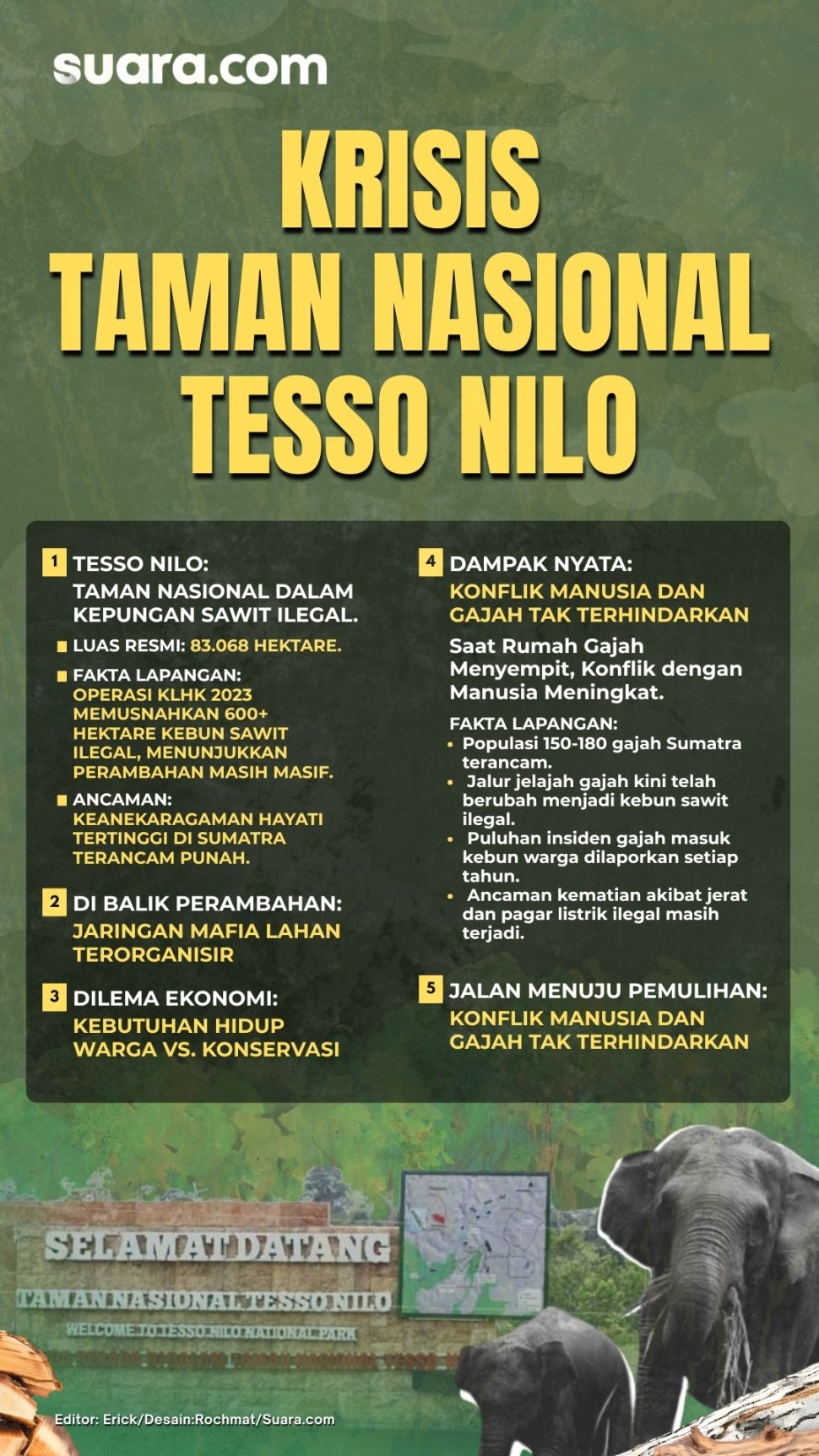 Infografis krisis taman nasional tesso nilo di Riau. [Suara.com/Rochmat]