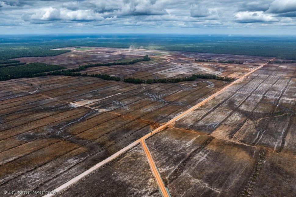 Lahan masyarakat adat di Merauke yang diubah menjadi proyek strategis nasional (PSN) pangan. [Dok. Greenpeace]