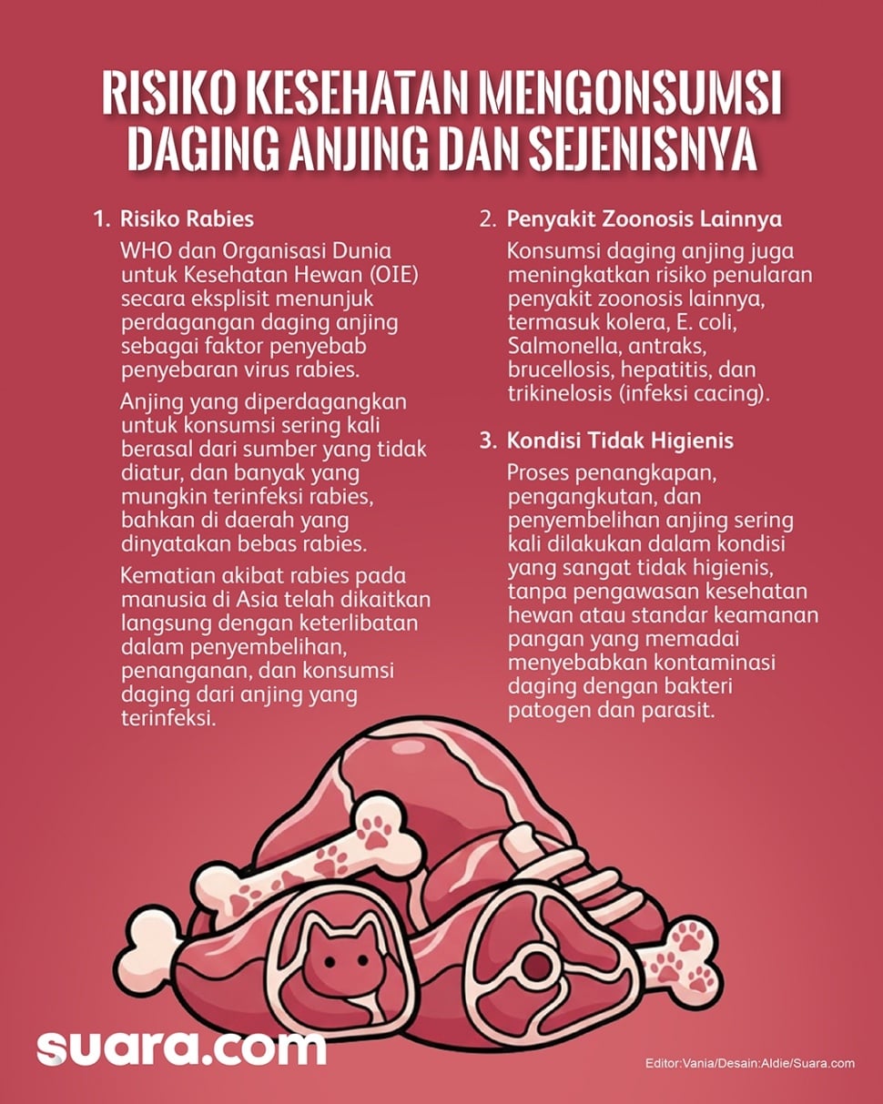 Infografis risiko kesehatan di balik konsumsi daging anjing. (Suara.com/Aldie)