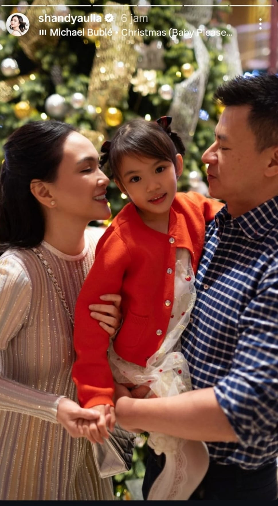 Shandy Aulia kompak dengan mantan suami demi anak [Instagram]