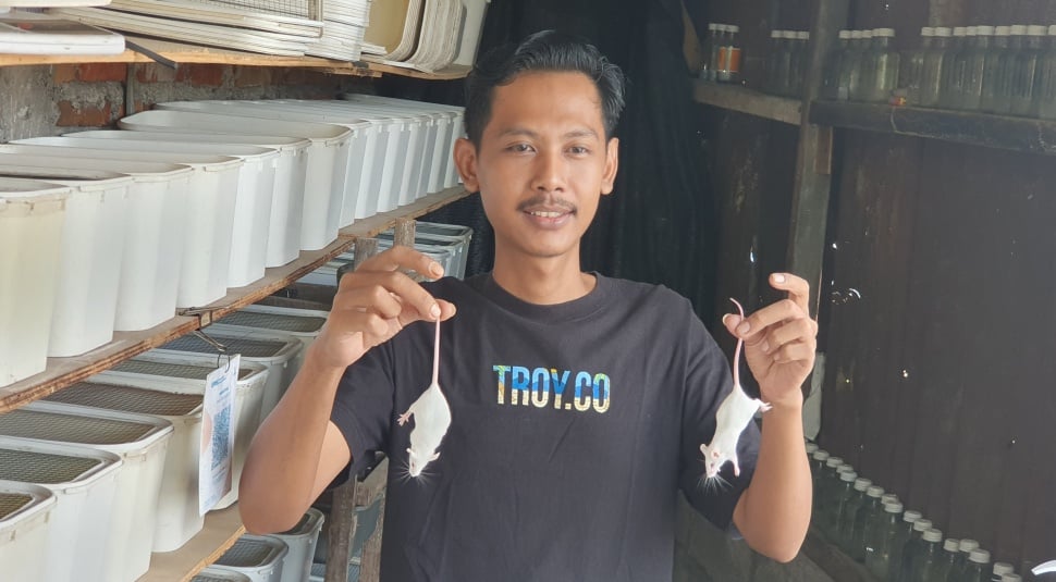 Imam Muslim (30), peternak mencit atau tikus kecil di Kota Yogyakarta, Jumat (19/12/2025).[Suara.com/Hiskia]