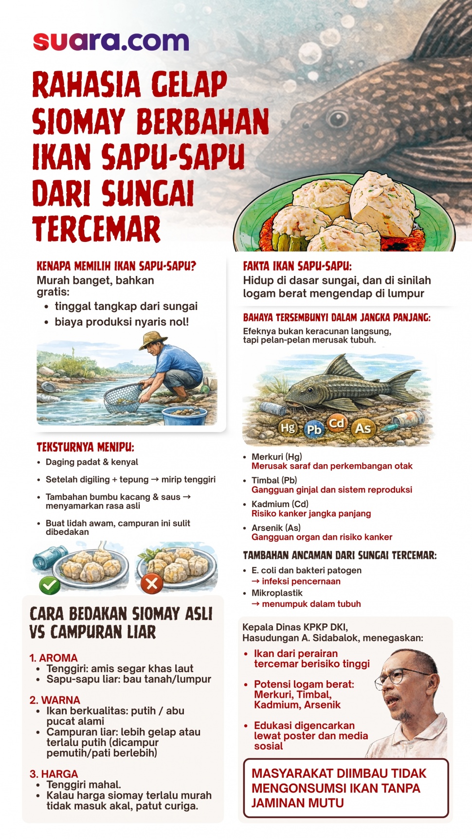 Infografis Rahasia Siomay Berbahan Ikan Sapu-Sapu. (Suara.com)