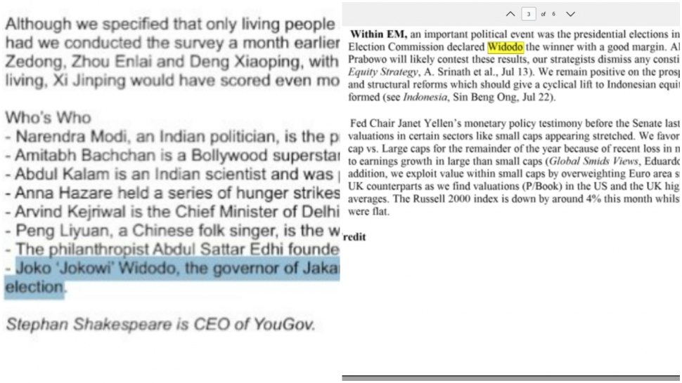 Nama Joko Widodo ada di Epstein File. (ist)