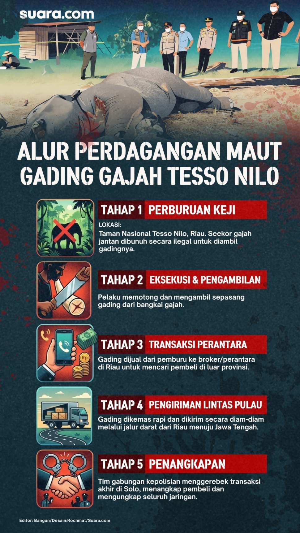Alur perdagangan gading gajah Tesso Nilo. (Dok. Suara.com)