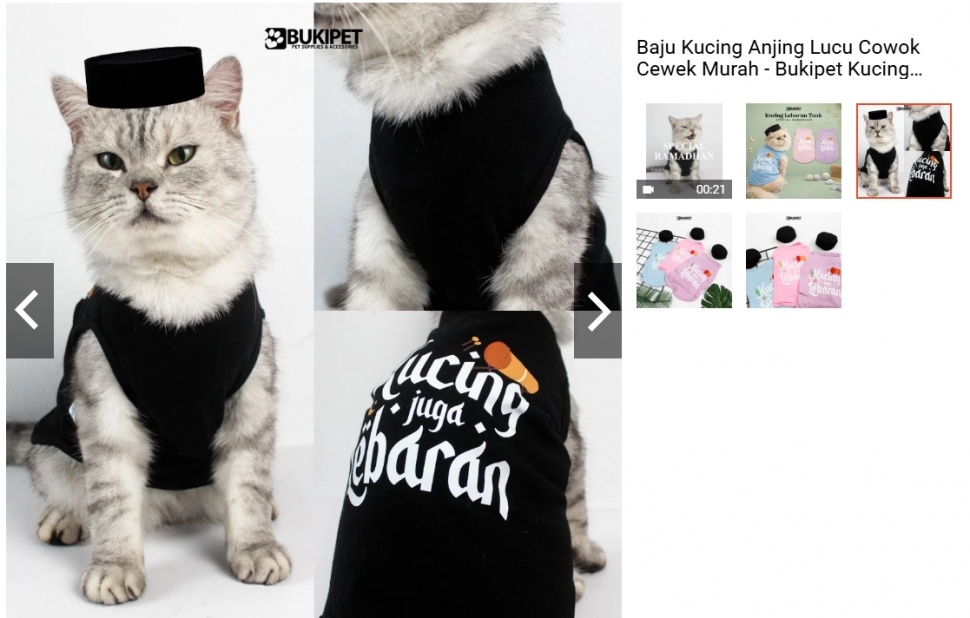 Baju Koko Kucing 17 ribu. (Shopee Pawsitive Vibes)4