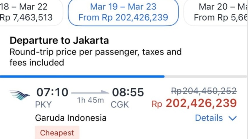 Viral  harga tiket pesawat Rp200 juta. (Instagram, Threads)