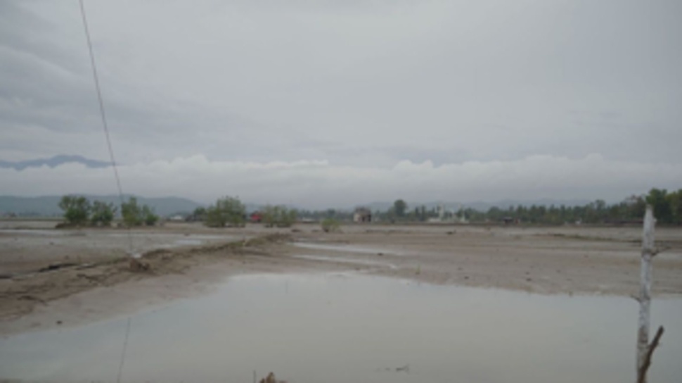 Data Kementerian Kelautan dan Perikanan (KKP) mencatat total lahan tambak terdampak mencapai 31.248,94 hektare di tiga provinsi. (Dok: Kemendagri)