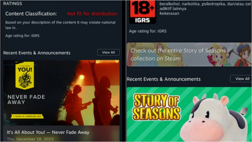 IGRS menuai kritik netizen. (Steam)