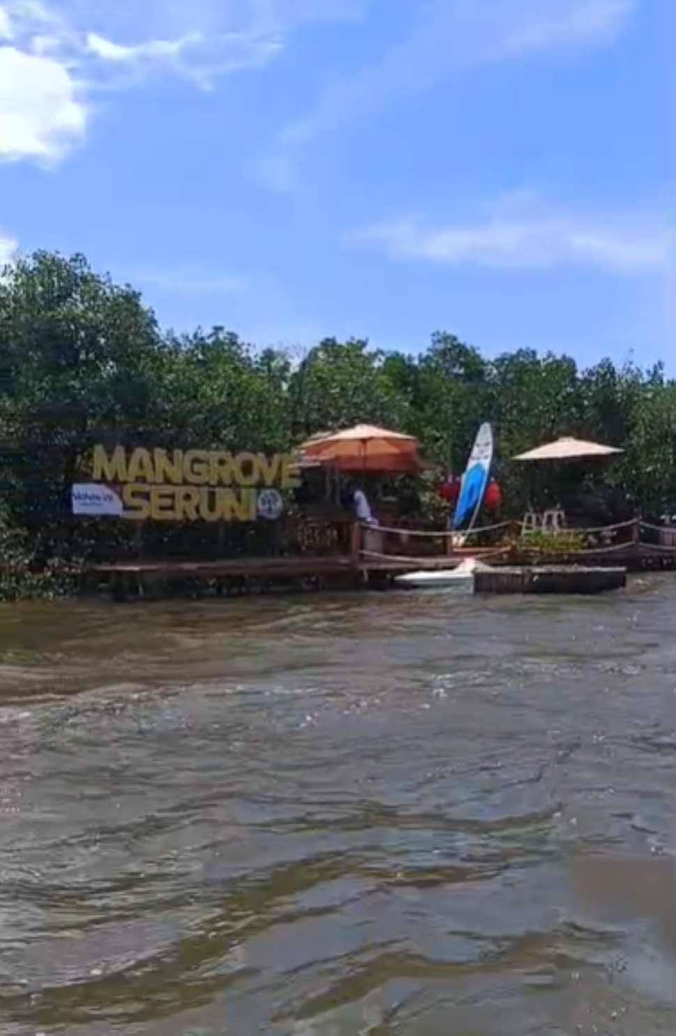 Mangrove Seruni di Wisata Denda Seruni, Kabupaten Lombok Timur. (Suara.com/Dwi Bowo Raharjo)
