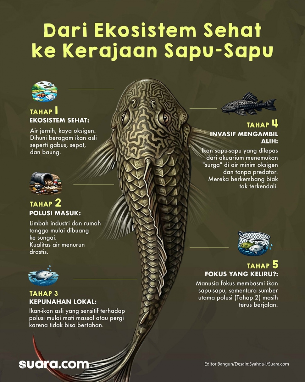 Operasi penangkapan ikan sapu-sapu di Jakarta. (Dok. Suara.com)