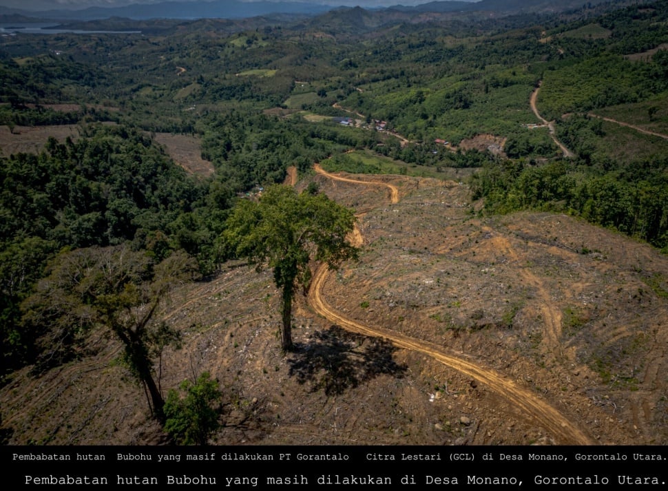 Perdagangan Karbon atau Hutan. (Dok. Trend Asia/Melvinas Priananda)