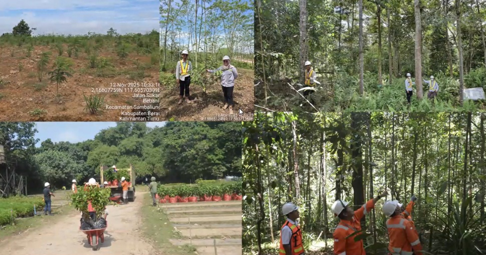 Contoh pemulihan hutan bekas tambang. (Webinar KAGAMA HSE 2026, Dr Irdika Mansur)