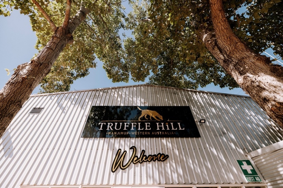 Ilustrasi Wisata Kuliner Australia Barat, Truffle Hill. (Tourism WA)