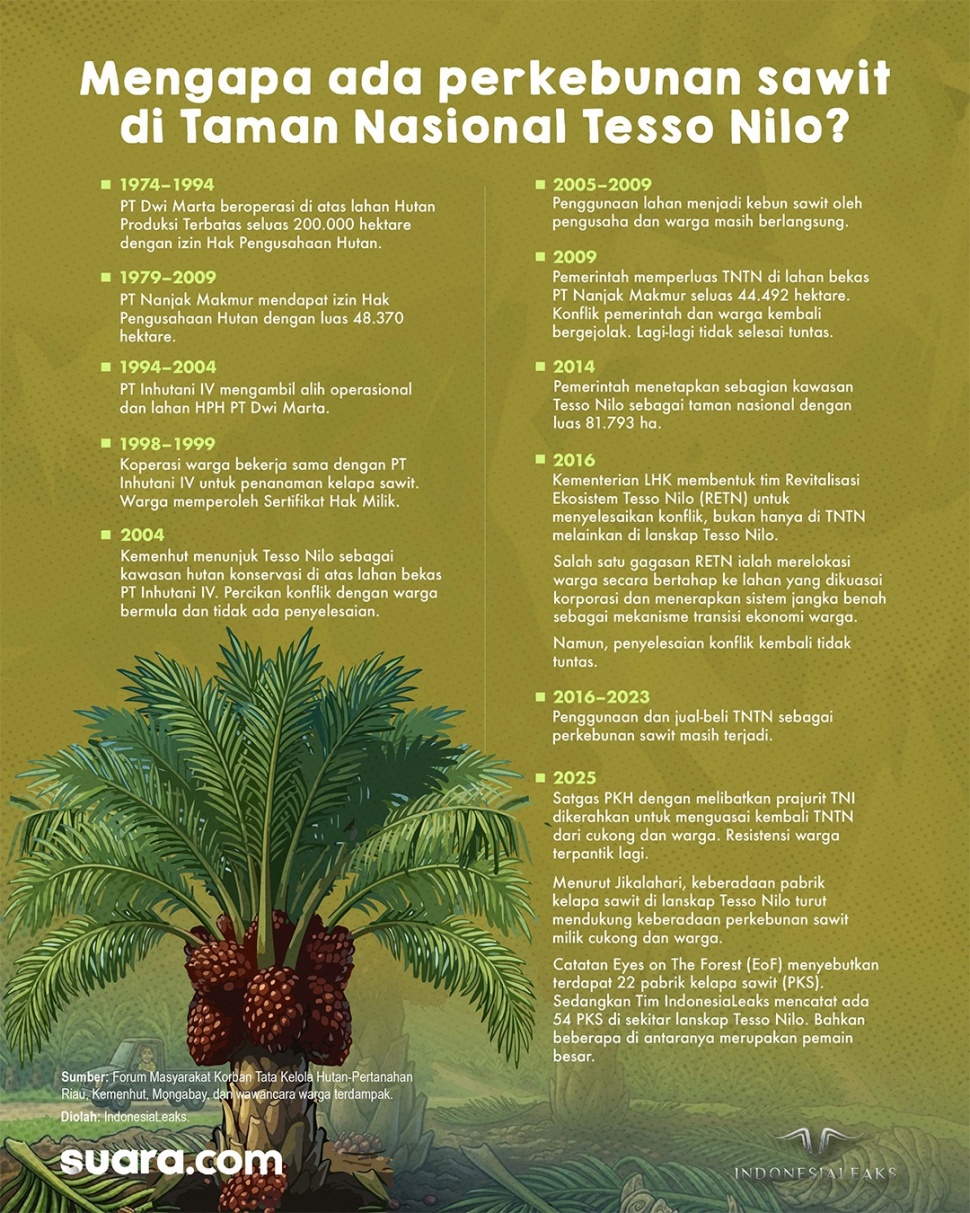 Infografis - Historisitas keberadaan kebun sawit di dalam Taman Nasional Tesso Nilo, Riau. [Syahda/Suara.com/IndonesiaLeaks]