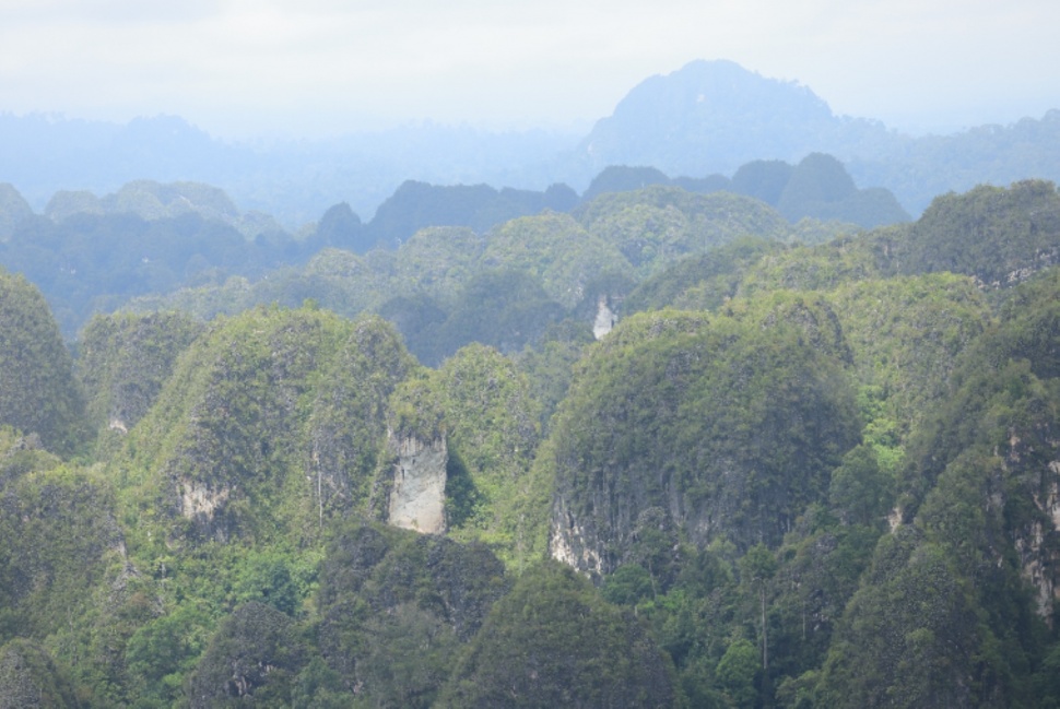 Puncak Ketepu, salah satu gugusan Geopark Sangkulirang-Mangkalihat di Kabupaten Berau. (Foto: YKAN)