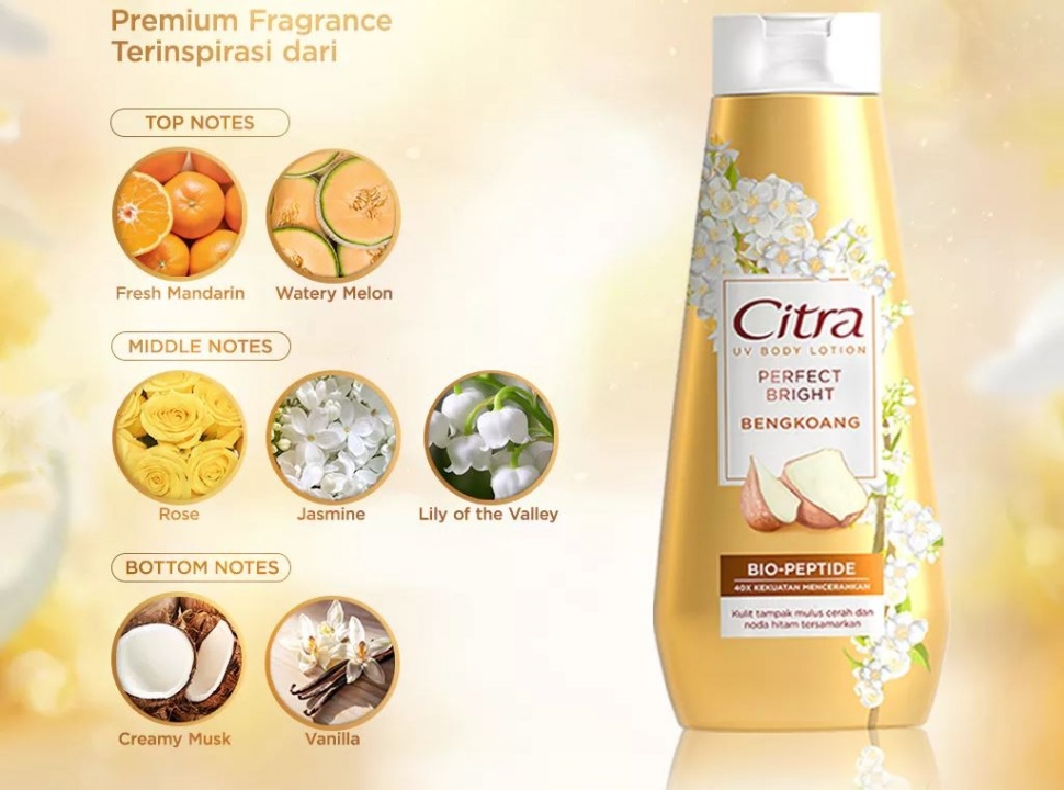 Citra UV Body Lotion Perfect Bright Bengkoang. (Shopee)